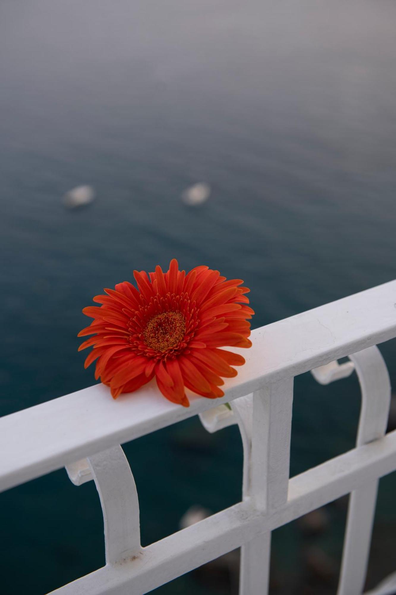 Hotel La Ninfa Amalfi Dış mekan fotoğraf